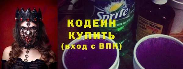 твердый Краснослободск