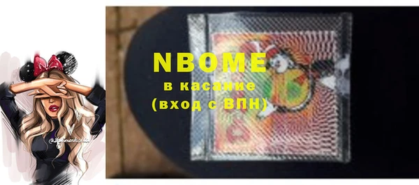 твердый Краснослободск