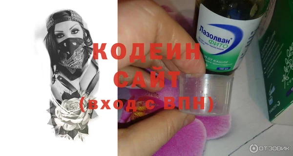 твердый Краснослободск