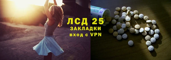 твердый Краснослободск
