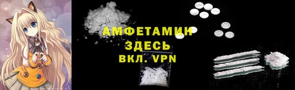 твердый Краснослободск