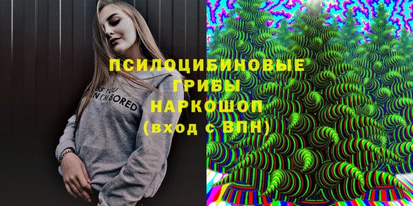 твердый Краснослободск