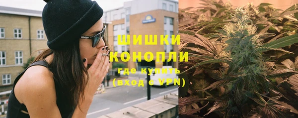 твердый Краснослободск