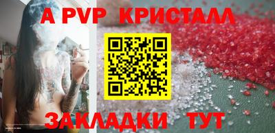 apvp Кингисепп