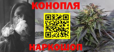 apvp Кингисепп