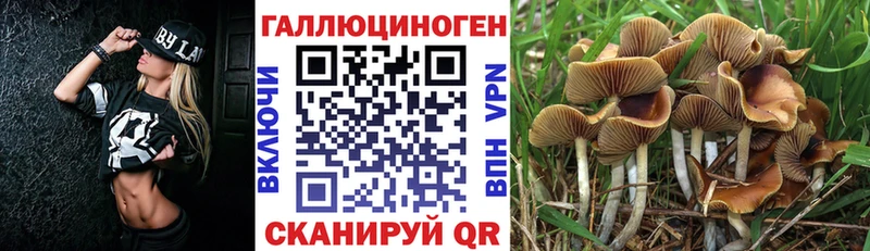 Псилоцибиновые грибы Cubensis  дарк нет клад  Красноуфимск 