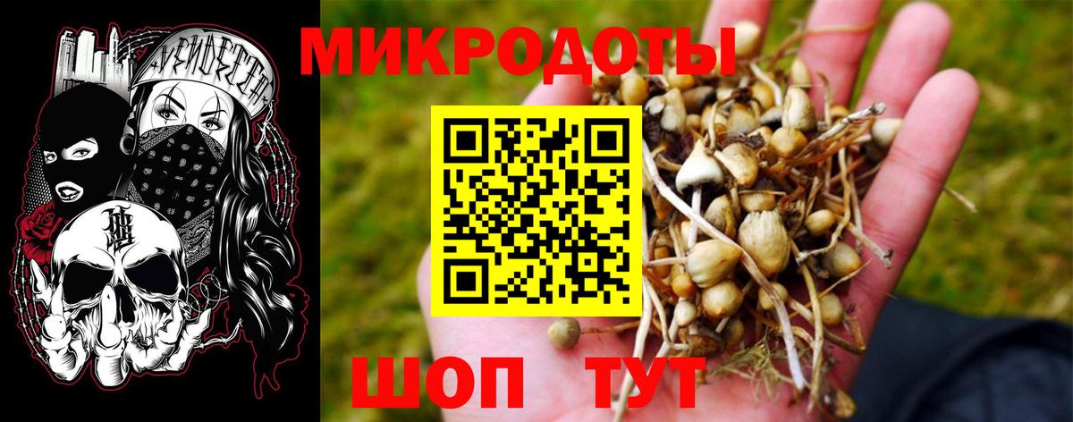 Псилоцибиновые грибы ЛСД Красноуфимск